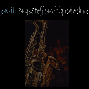 Bugs Steffen Contact Text